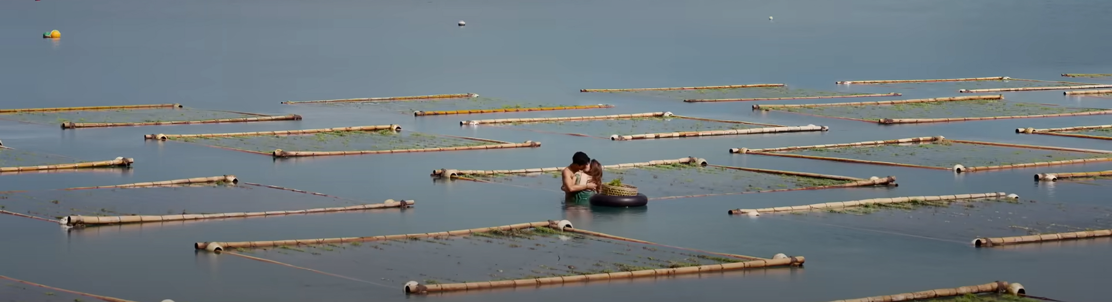 Love in the seaweed fields