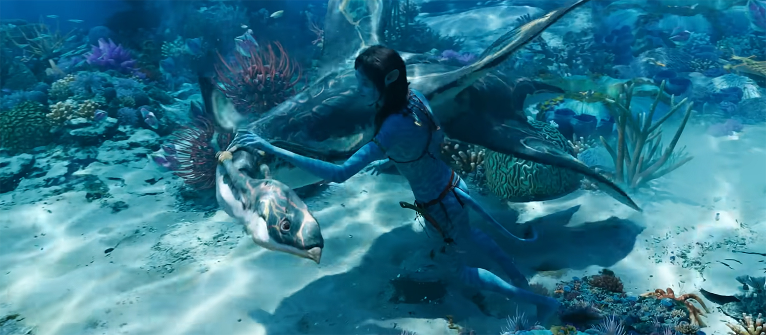 Swimming in the reefs.