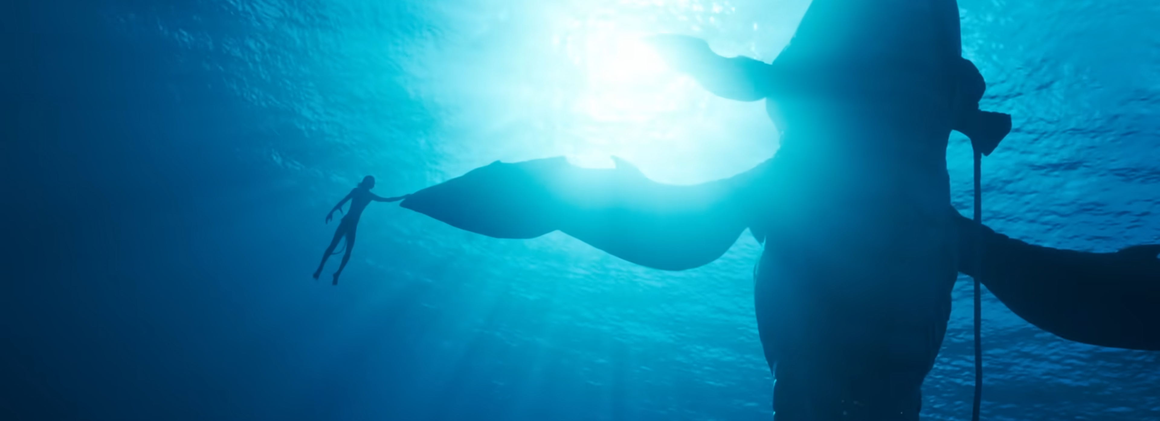 Swimming with the Tulkun