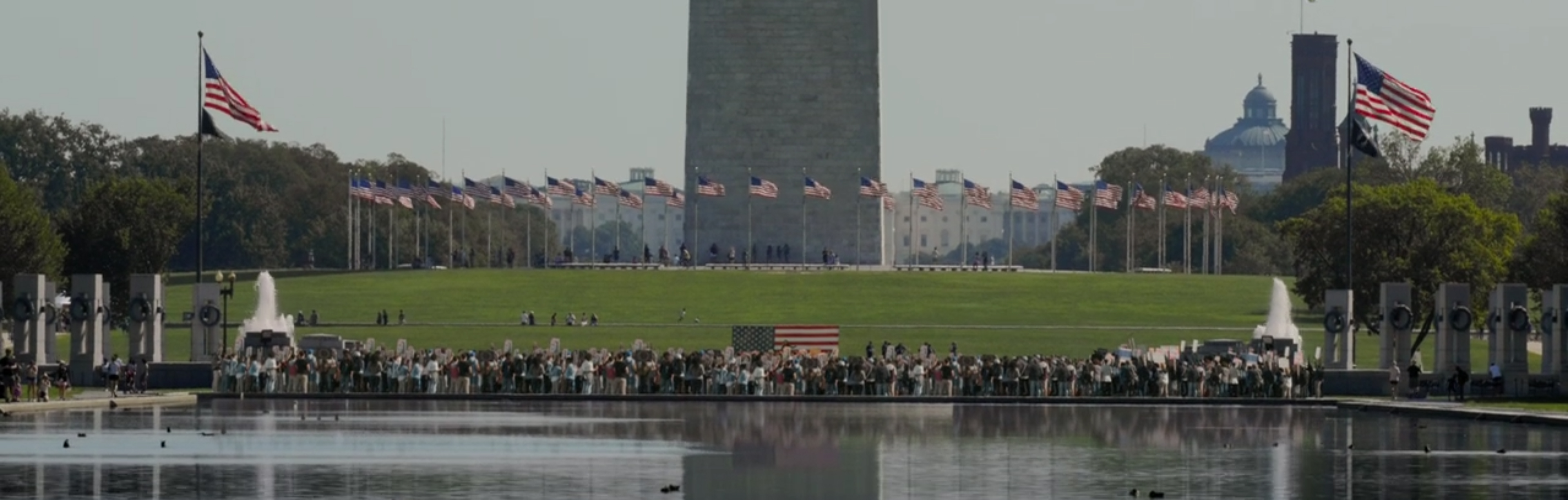 Flags at Washington DC