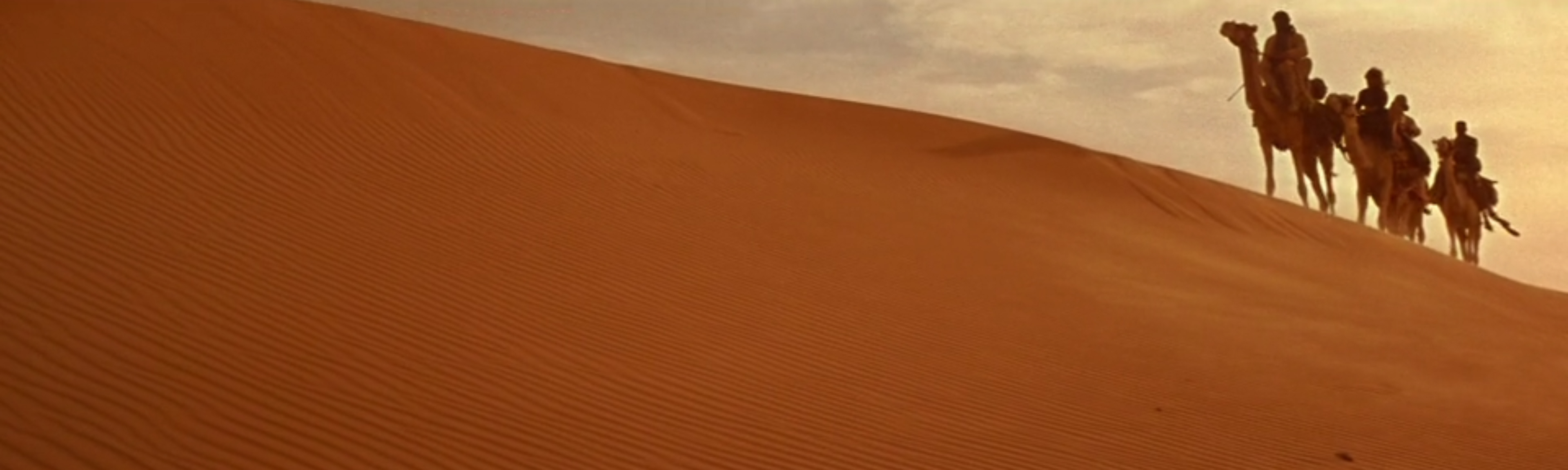 Camels in the desert crossing sand dunes.