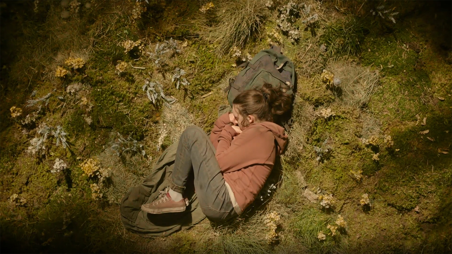 Ellie sleeps in some grass.