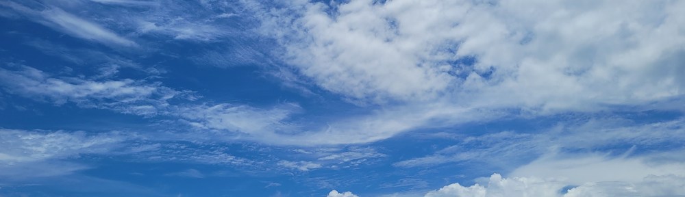 A cargo ship hangs in the distance like a toy on the water.