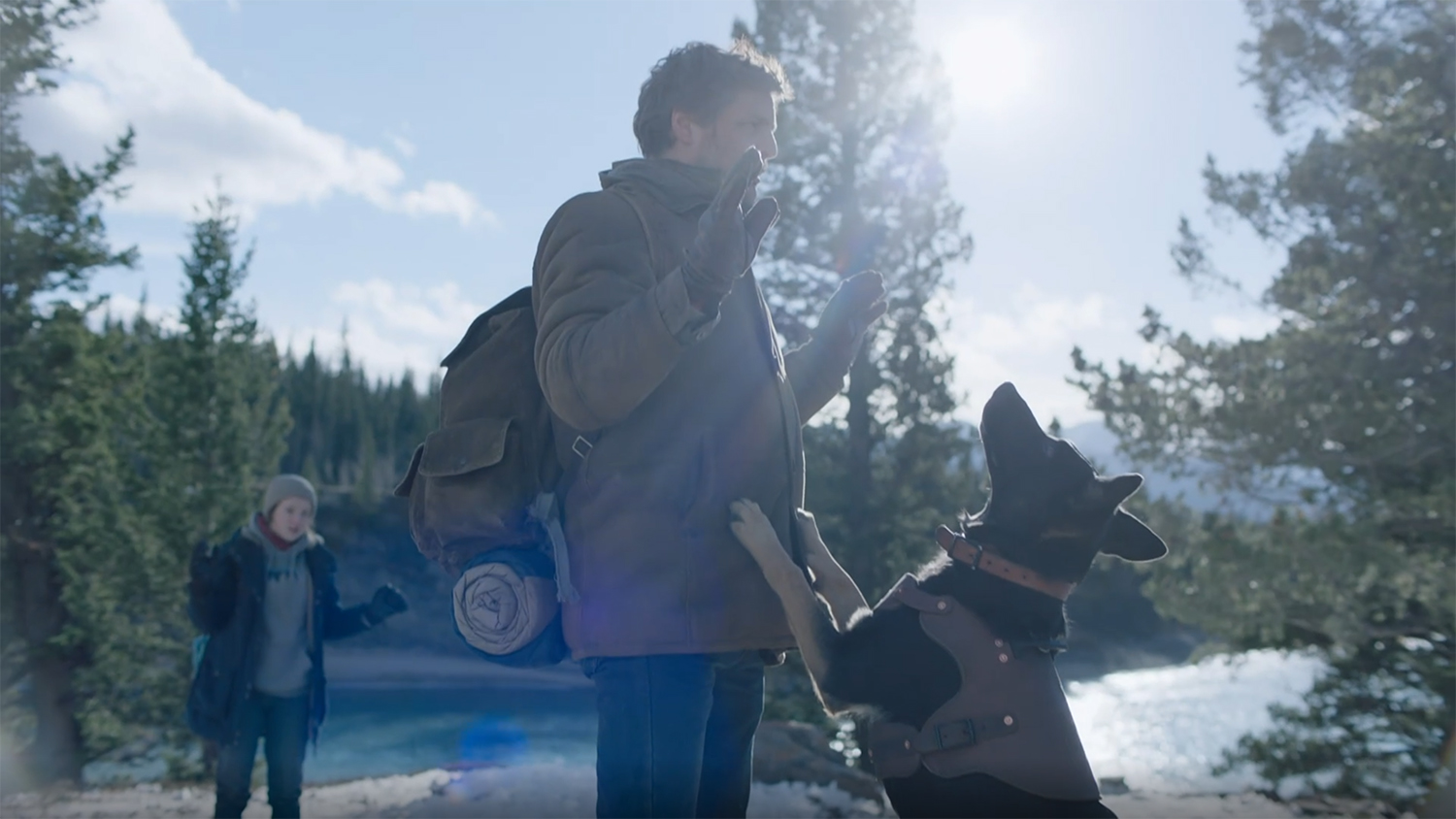 A dog sniffs Joel for infection.