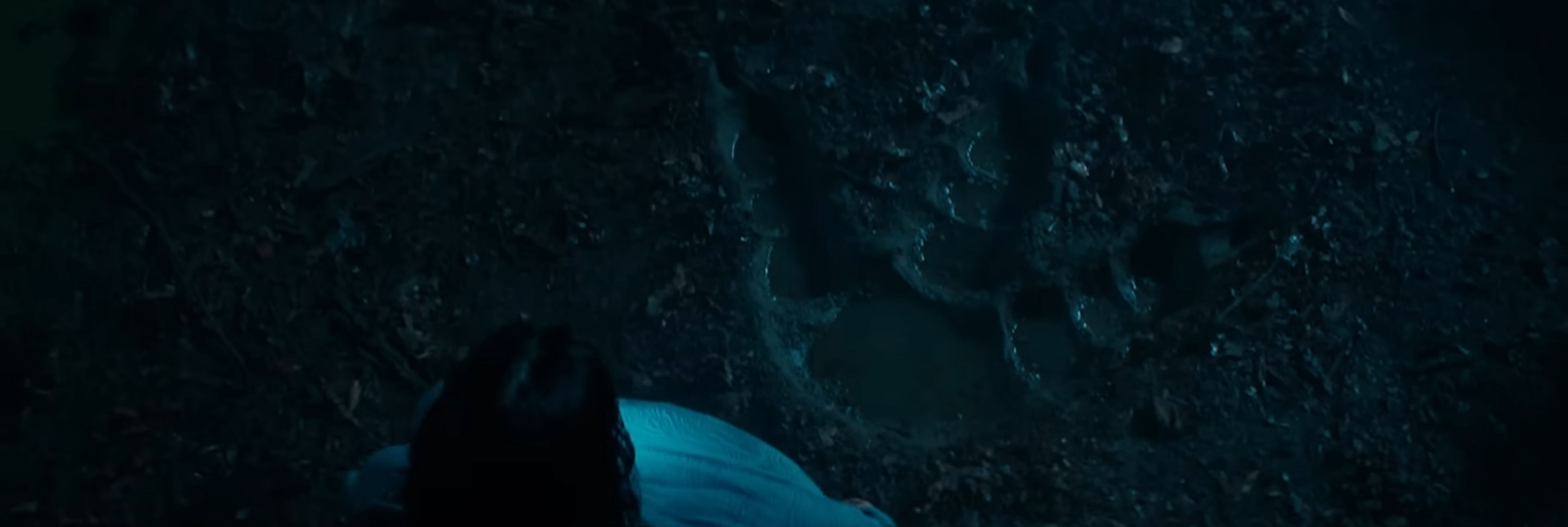 A dinosaur footprint in the mud.