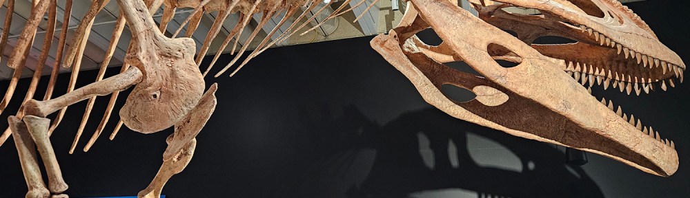 Tyrannotitan Chubutensis