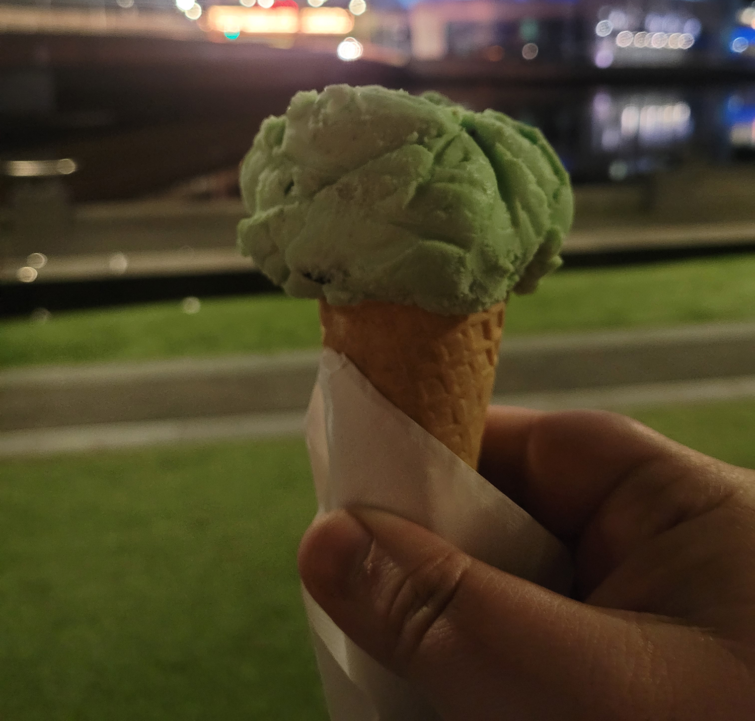Mint Choc-Chip Ice cream