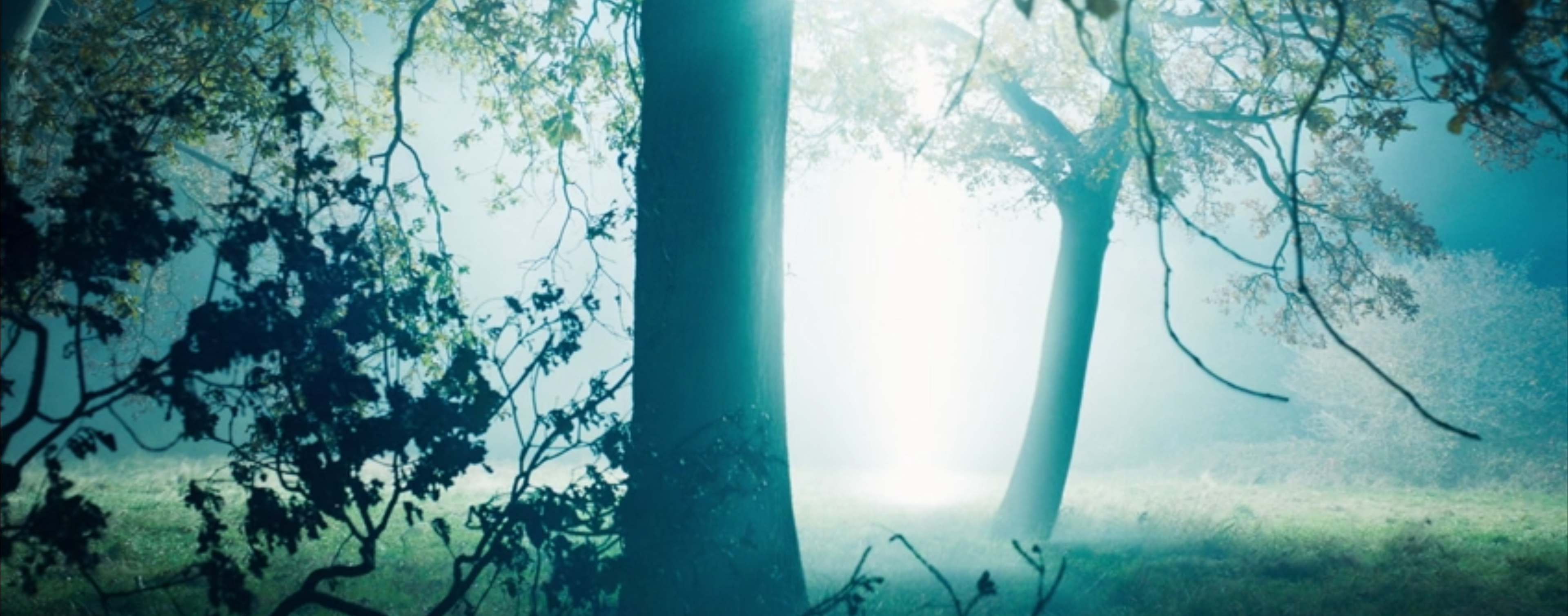 Fury arrives back on Earth.