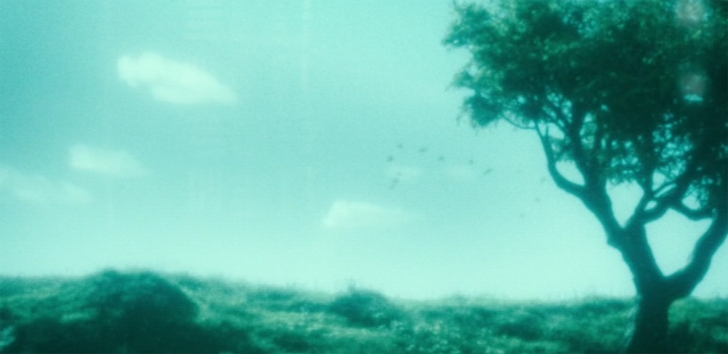 The beautiful world apparently outside the Silo.