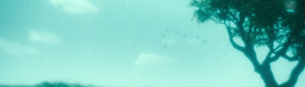 The beautiful world apparently outside the Silo.