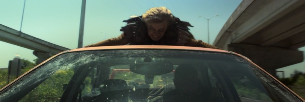 A vulture on the roof.