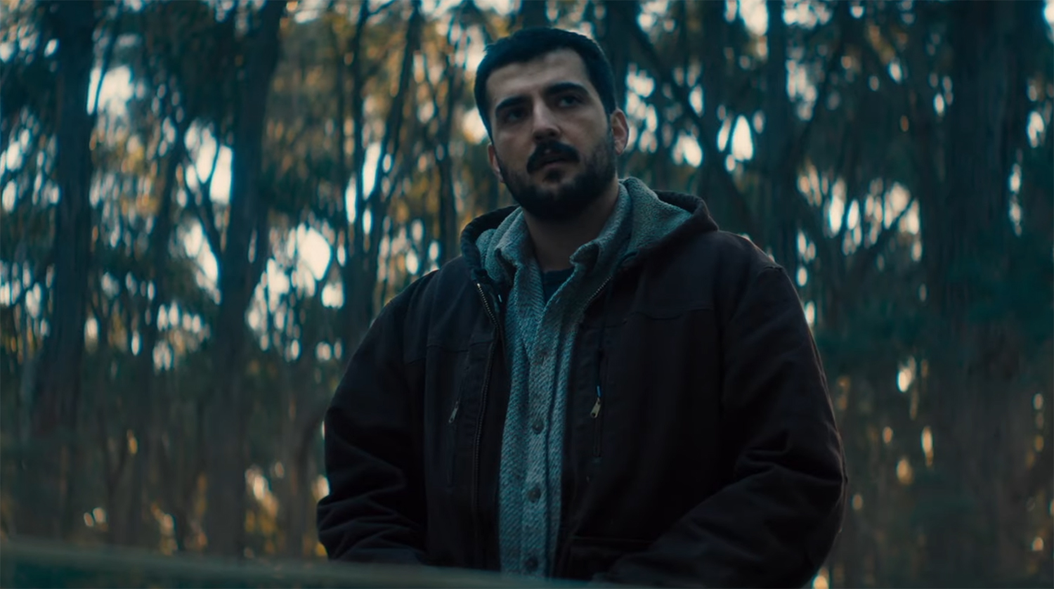 Dan explores the forest.