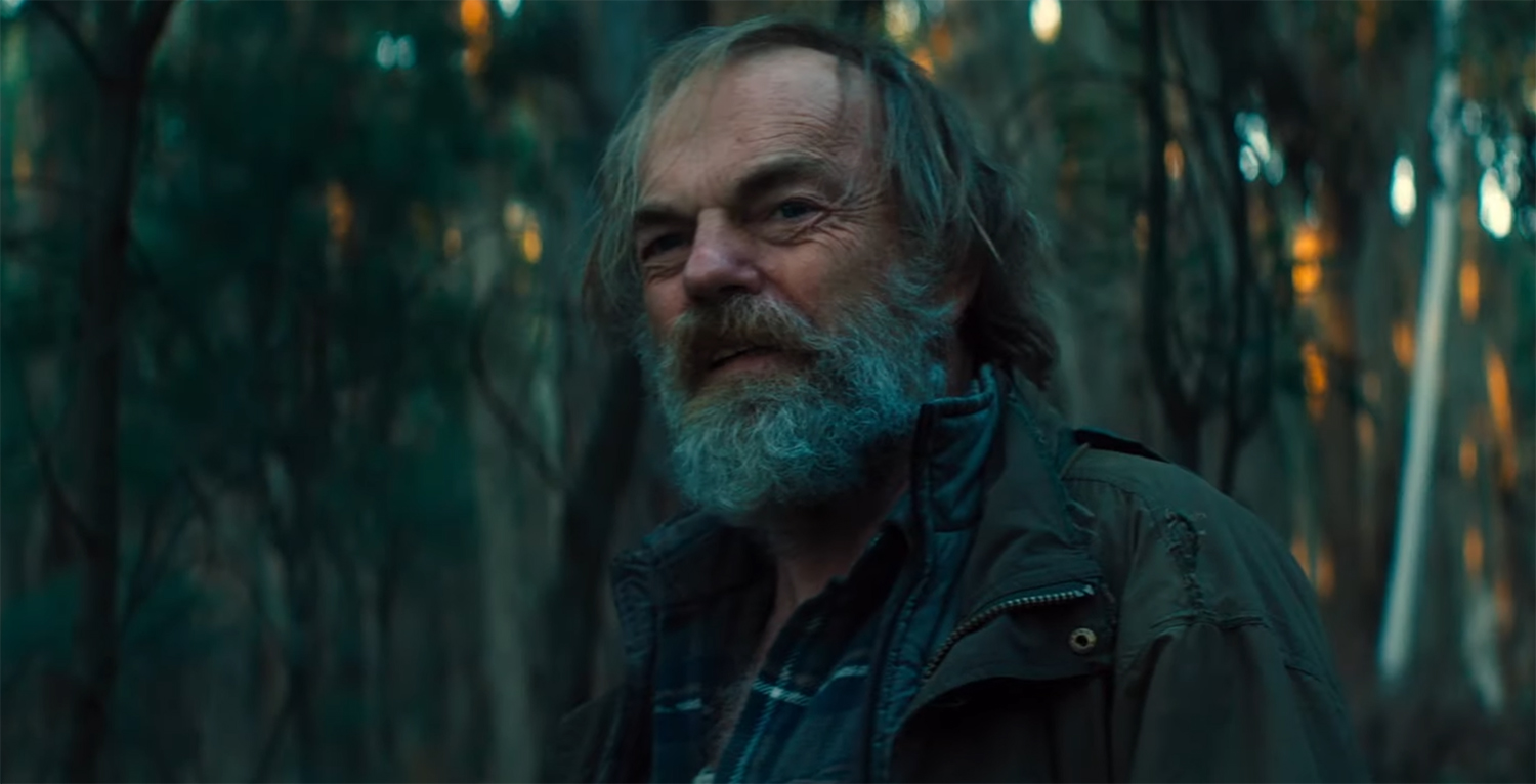 The Hermit in the forest.