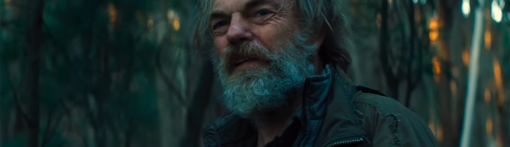 The Hermit in the forest.