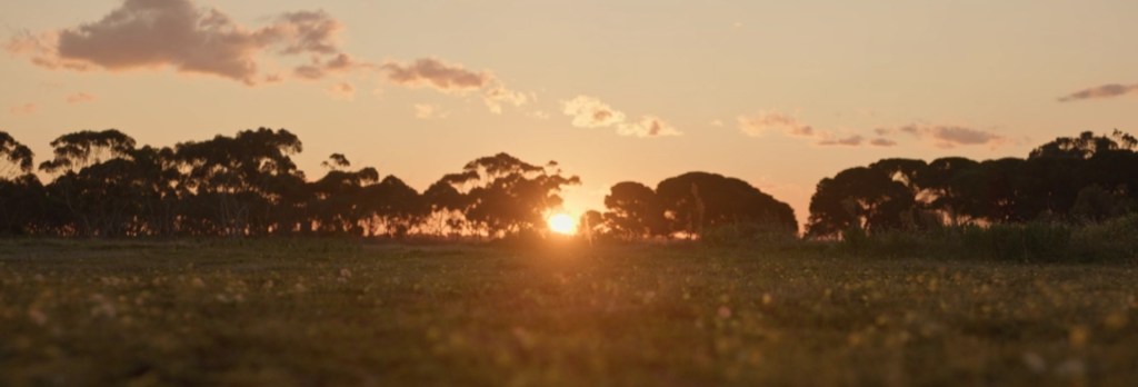 The Australian countryside.