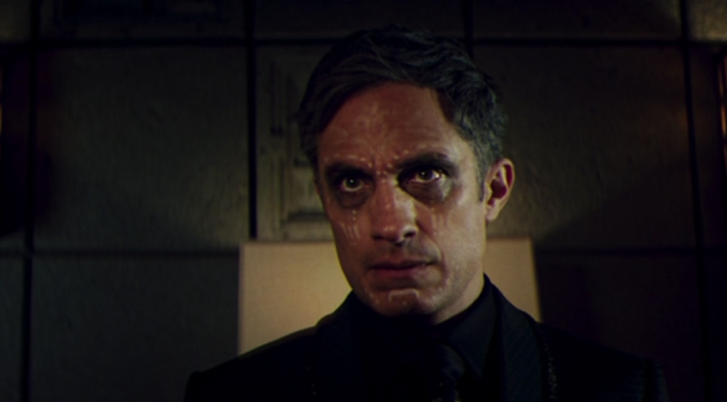 Jack Russell in color