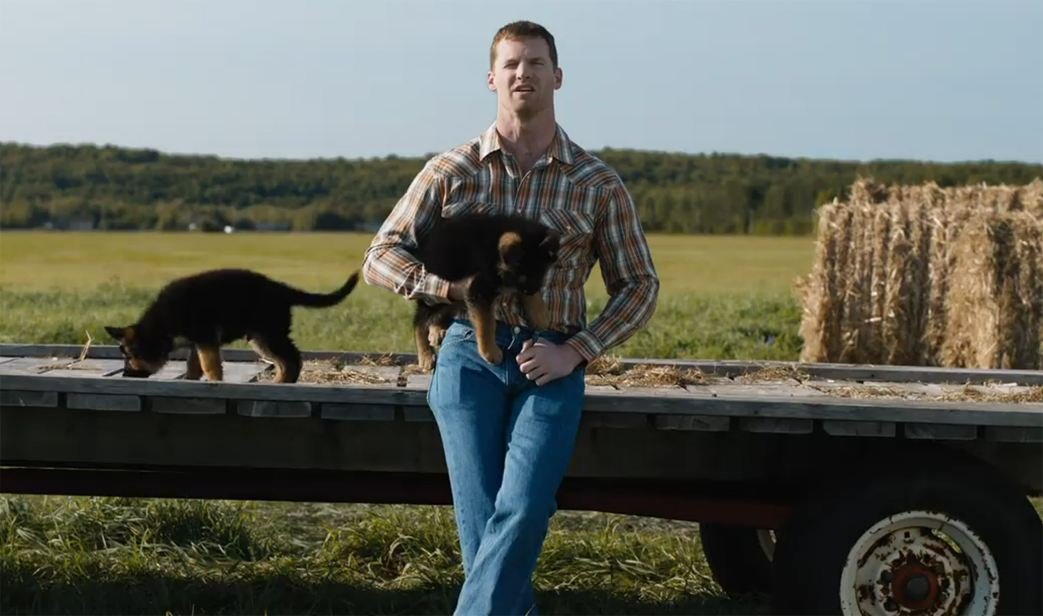 Wayne talks to the camera sounded by dogs.