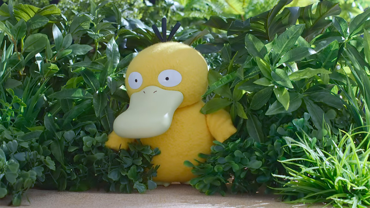 Psyduck.