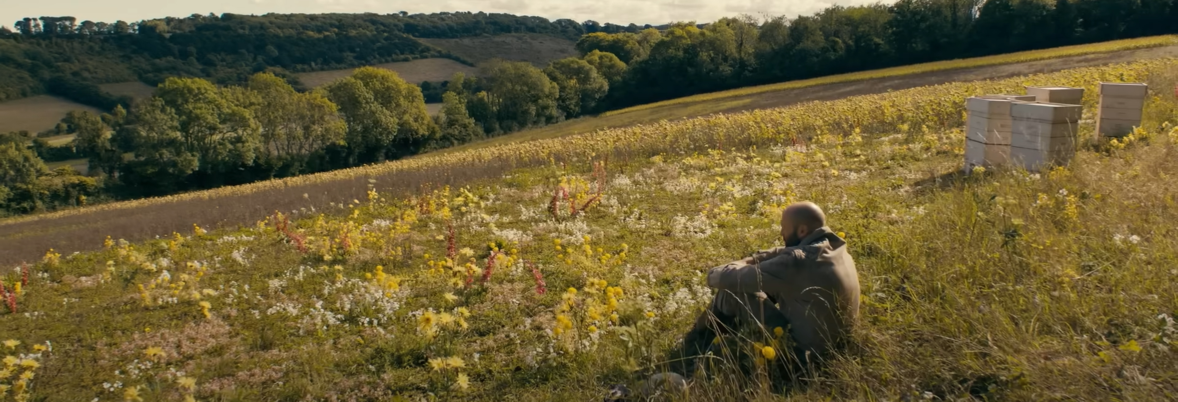 Adam Clay sits in a felid with his bee hives.