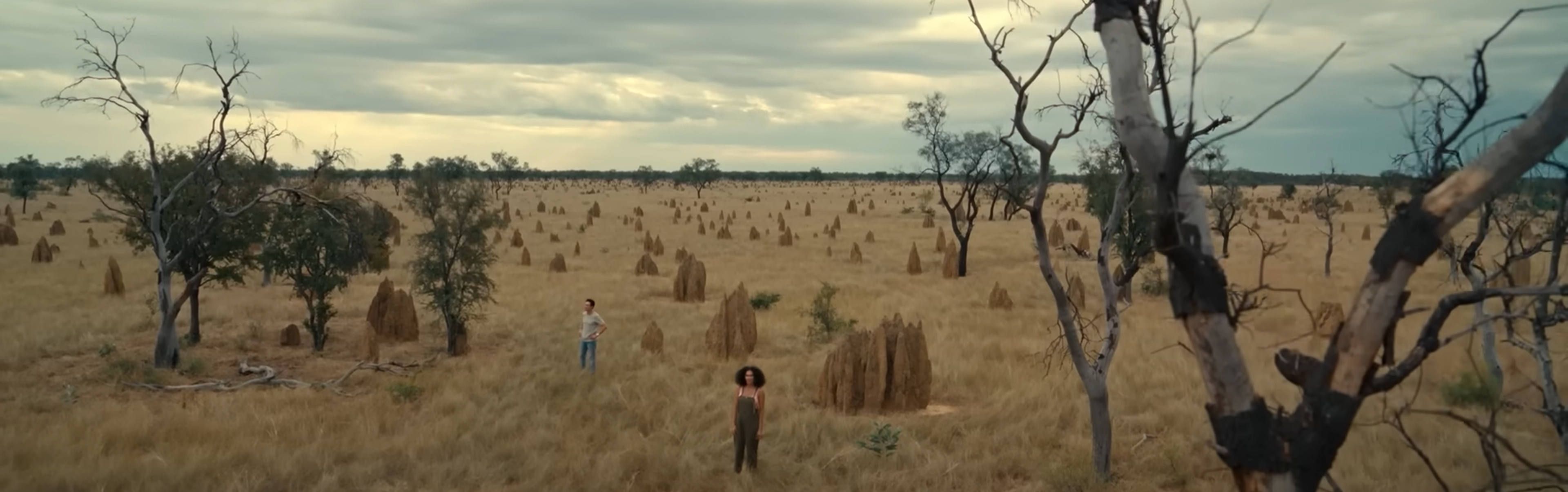 The outback full of termite mounds.