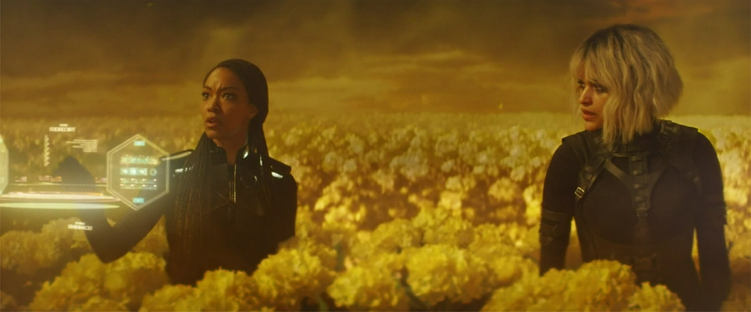 Mol and Michael team up.