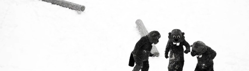 Jean Kayak gets beaten up by 3 beavers.