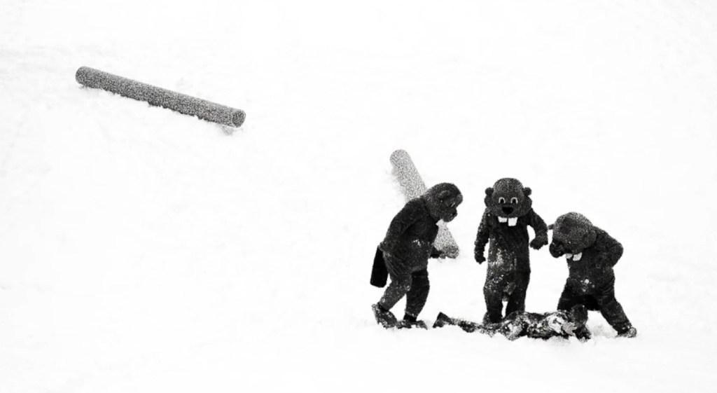 Jean Kayak gets beaten up by 3 beavers.