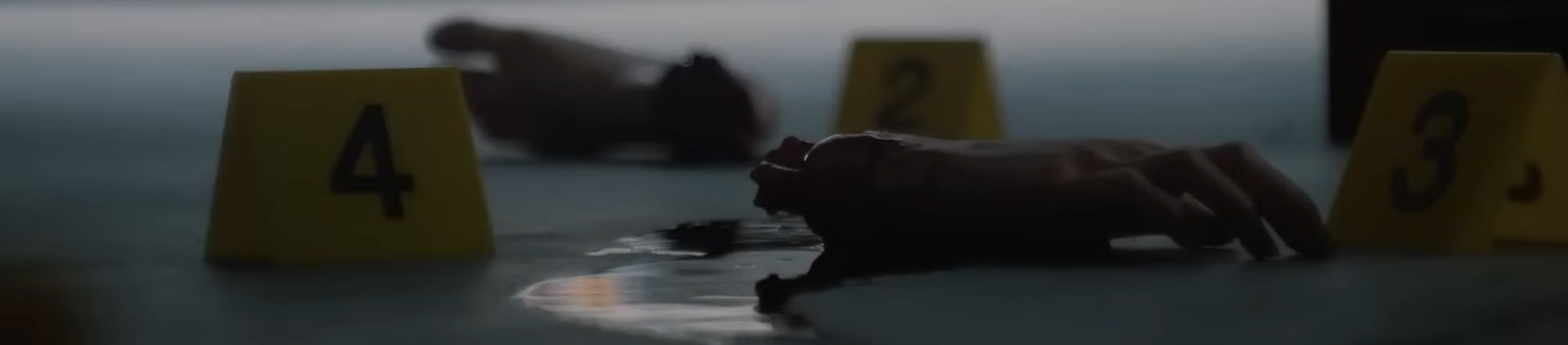 Left overs from a mauling.