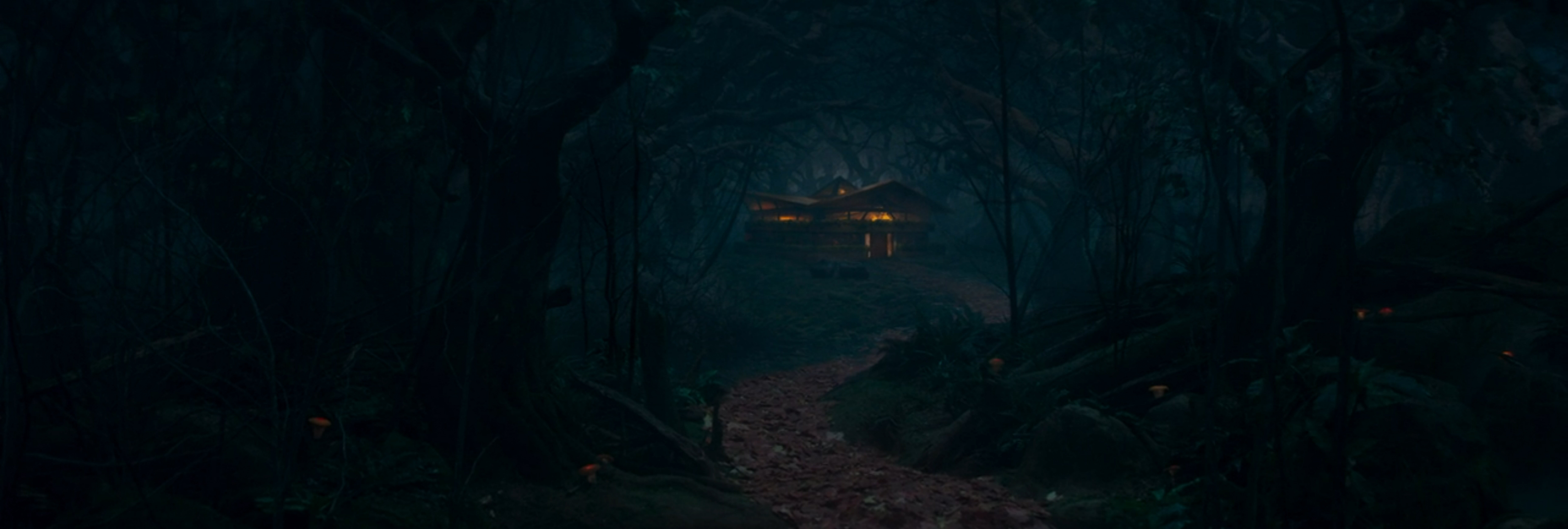 the house on the hill.