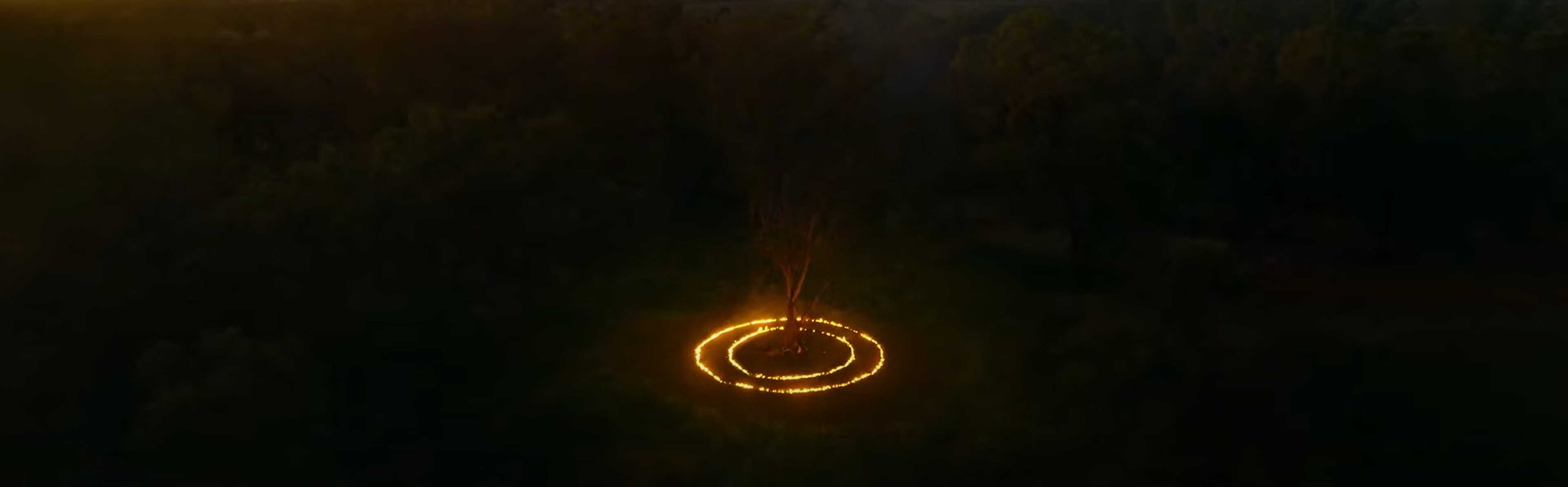 A tree ringed with fire.