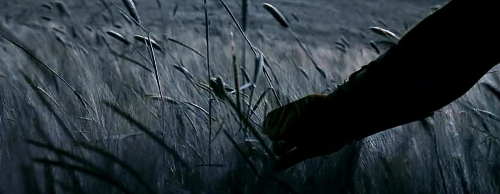 A hand in the wheat fields.