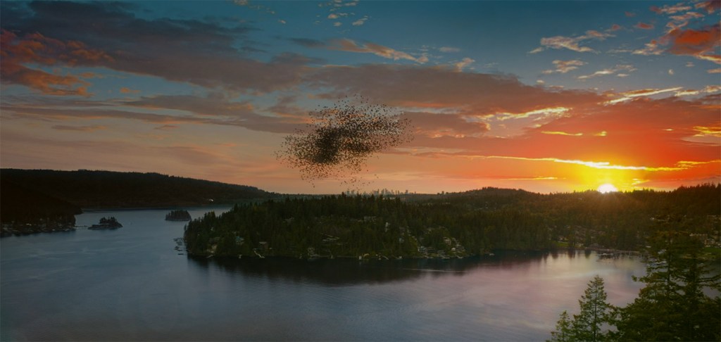 Birds flock over the ruins of the old world. Image Credit: Stan.