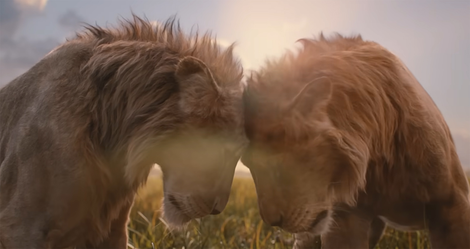 Simba and Taka share a brotherly bond.