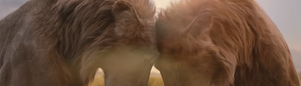 Simba and Taka share a brotherly bond.