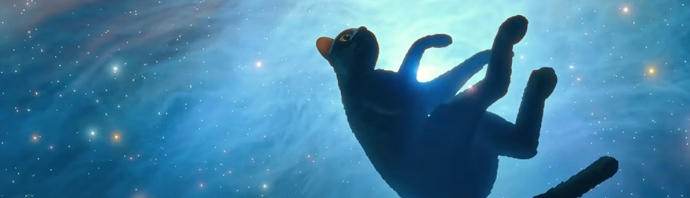 Cat floats in the stars.