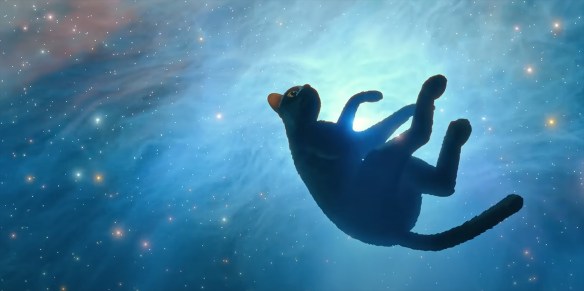 Cat floats in the stars.