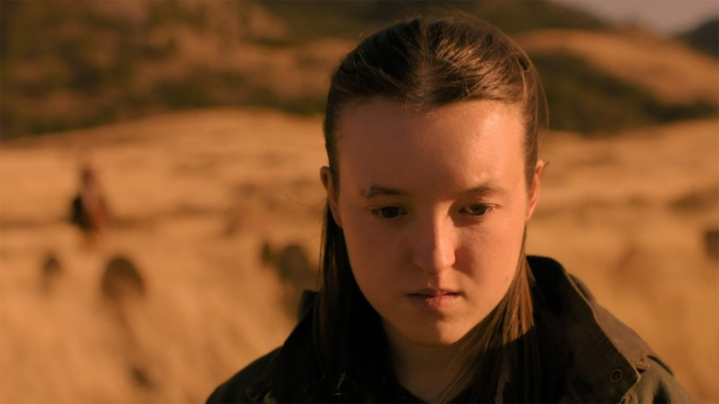 Ellie approaches Joel's grave. 