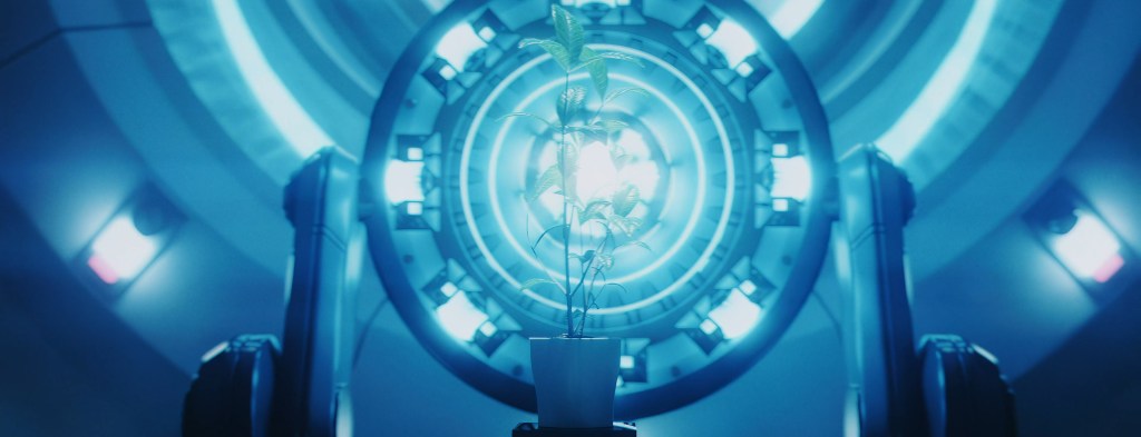 A plant sits in front of the machine about to make a portal. 