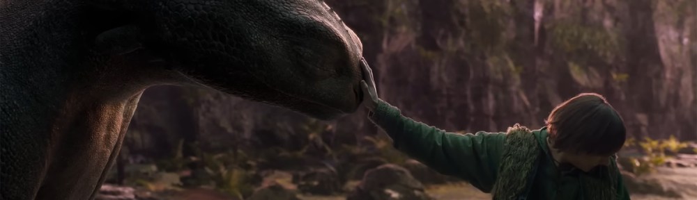 Hiccup rests his hand on Toothless' head.