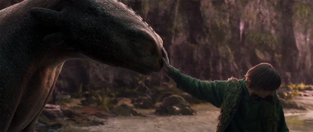 Hiccup rests his hand on Toothless' head. 