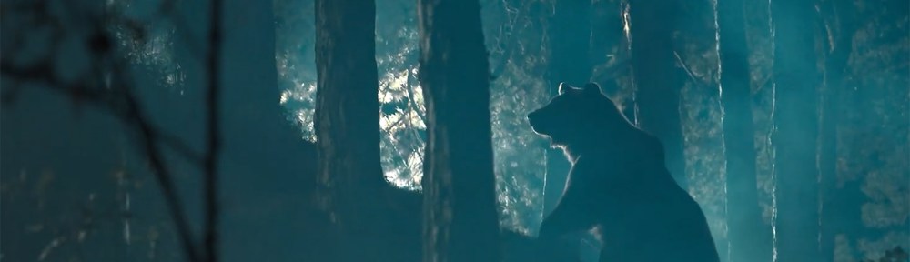 The bear backlit at night.