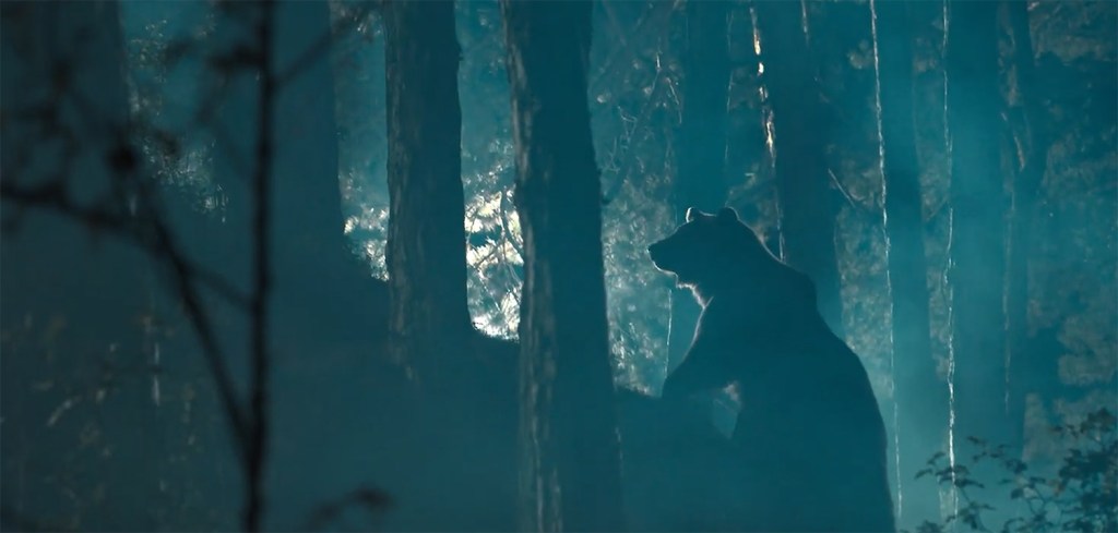 The bear backlit at night. 