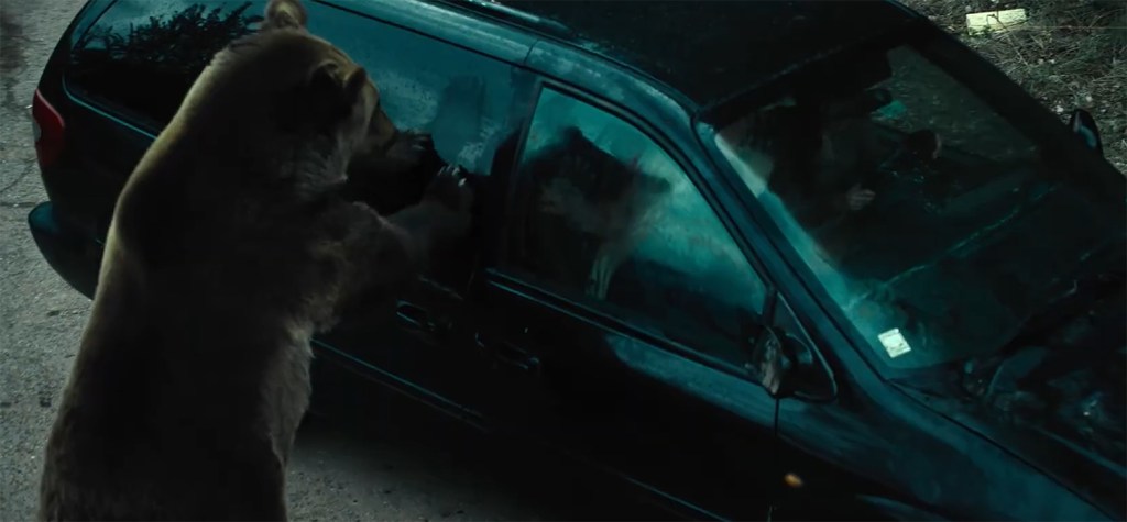 A bear bangs on the window of a car. 