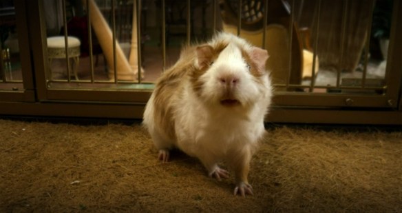 Percy as a hamster.