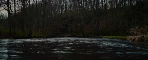 A river flowing in a forest.