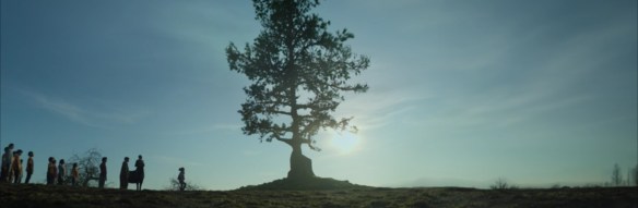 The tree guarding the camp. 