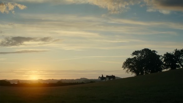 A horse walking through a field at sunset. 