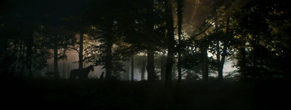 A horse walks through a forest at dawn. 