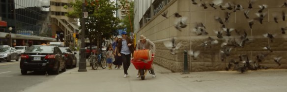 Bird erupt as two men push a wheelbarrow through the city. 