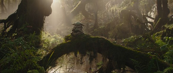 Grogu meditating on a branch.